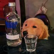 江蘇